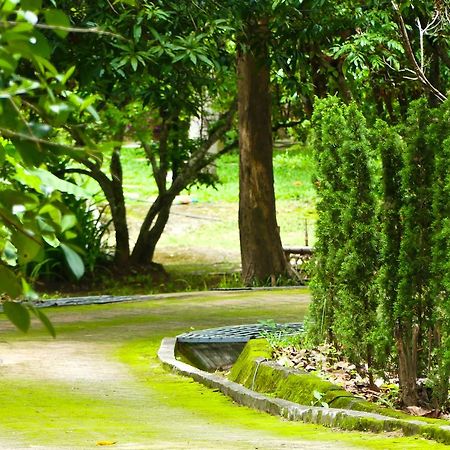 Golden Teak Homestay Mae Rim Ngoại thất bức ảnh