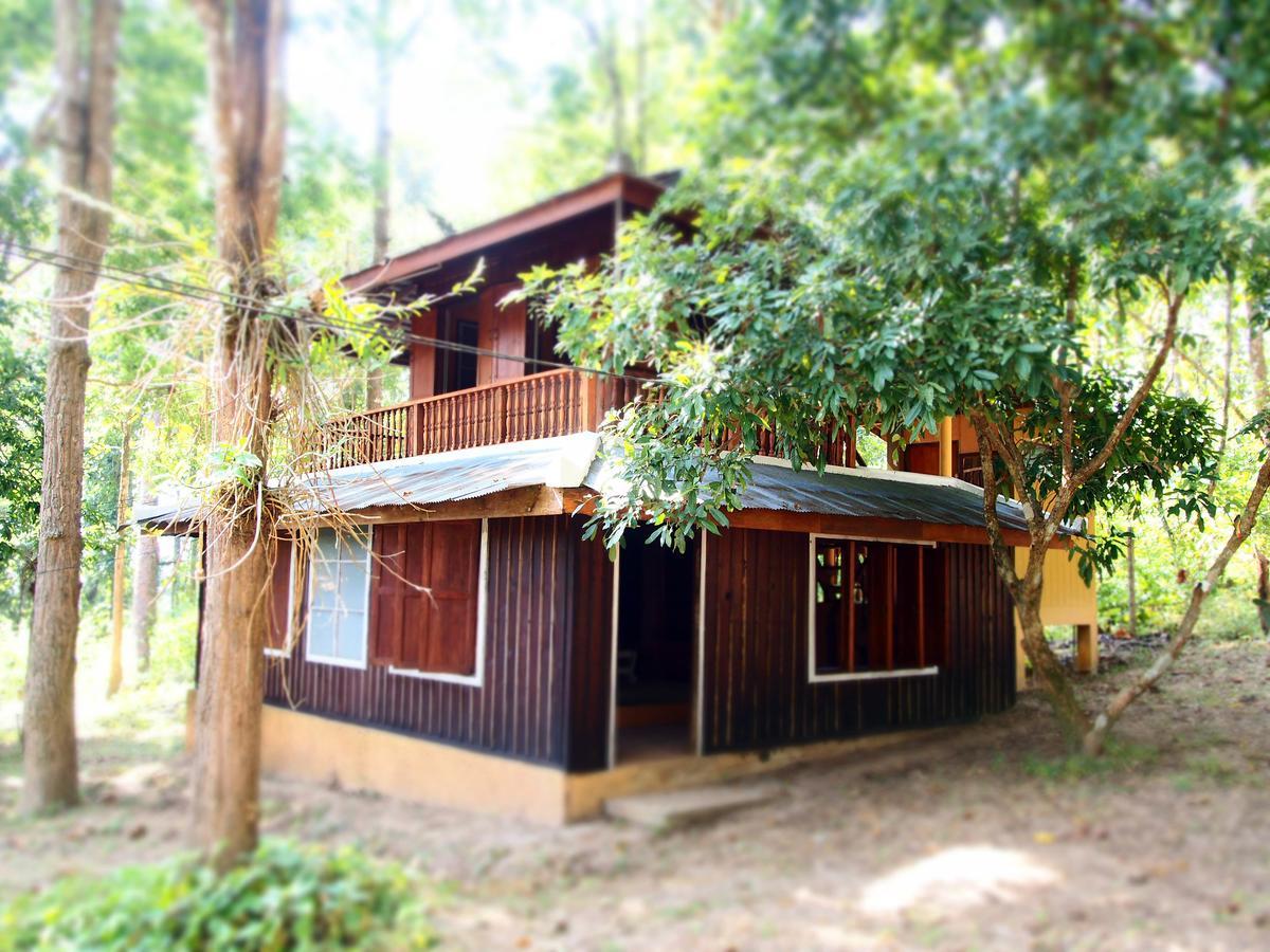 Golden Teak Homestay Mae Rim Ngoại thất bức ảnh