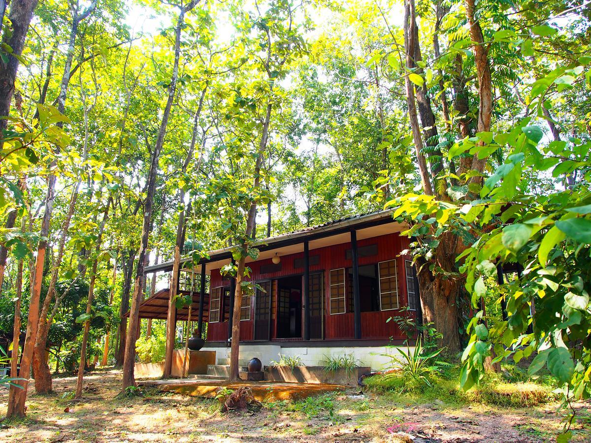 Golden Teak Homestay Mae Rim Ngoại thất bức ảnh