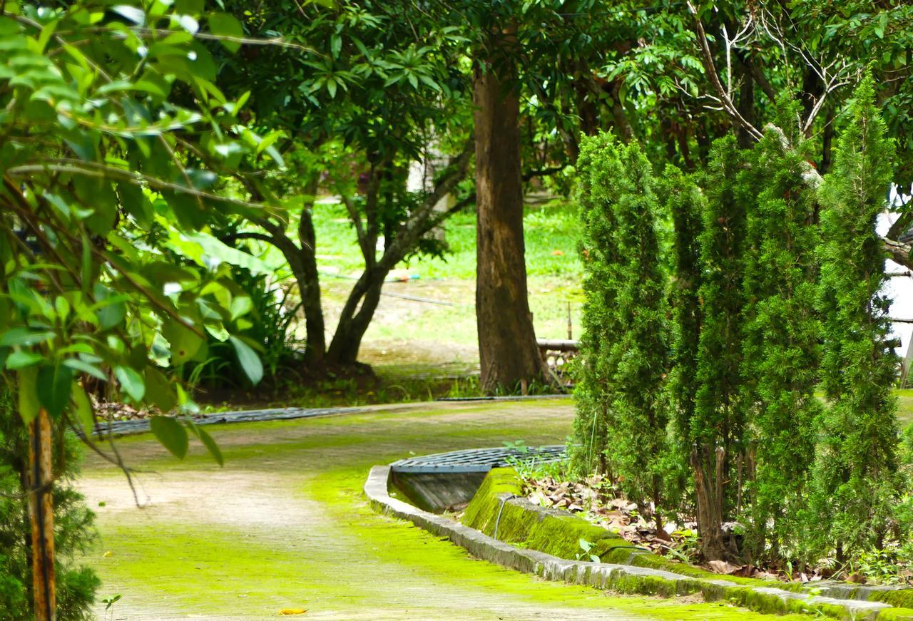 Golden Teak Homestay Mae Rim Ngoại thất bức ảnh